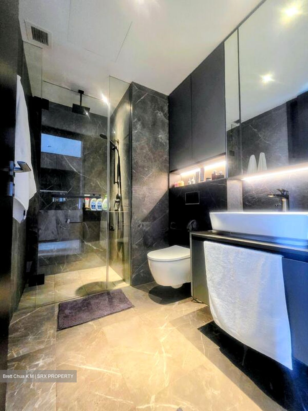 Irwell Hill Residences (D9), Apartment #502810111